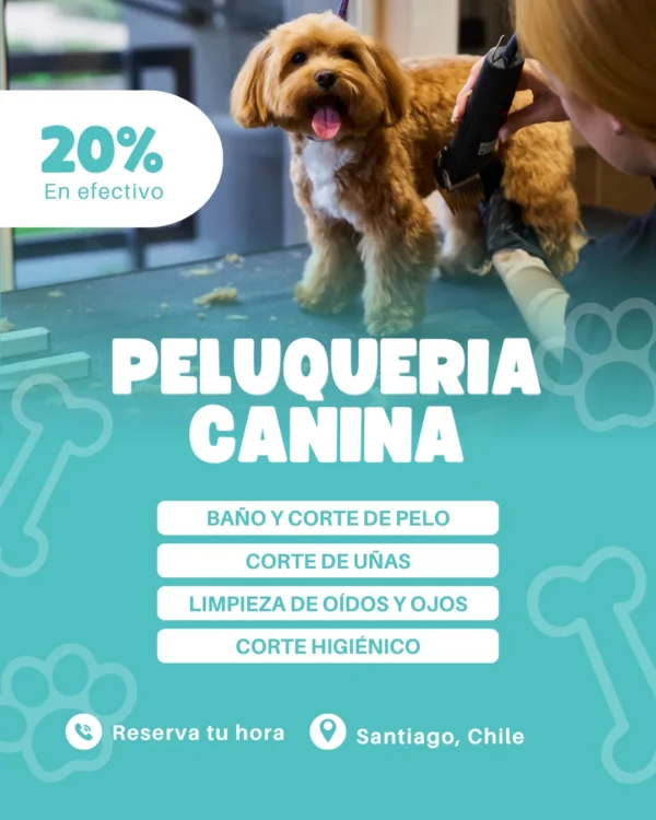Pack de Creativos Profesionales para Redes Sociales - Imagen 4